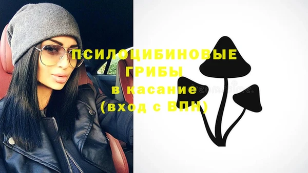 а пвп мука Магас