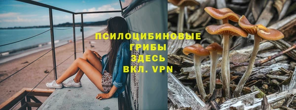 spice Майский