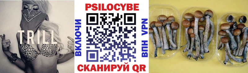 купить наркоту  Хилок  Псилоцибиновые грибы ЛСД 